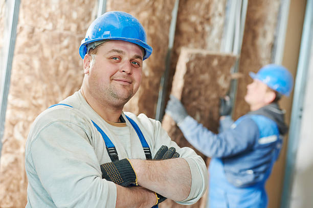 Best Cellulose Insulation in Melissa, TX