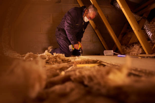 Types of Insulation We Offer in Melissa, TX